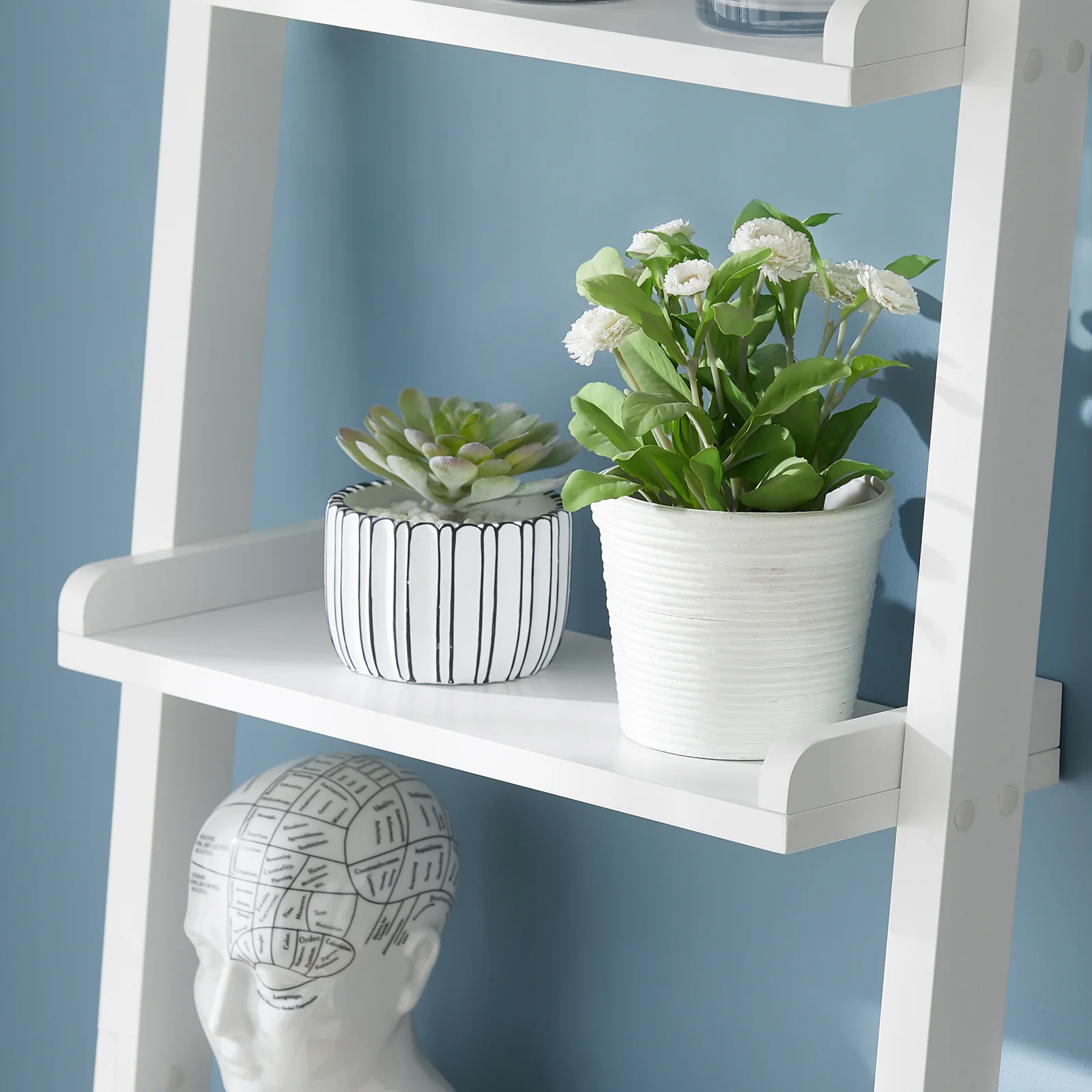 Miniatuur 12