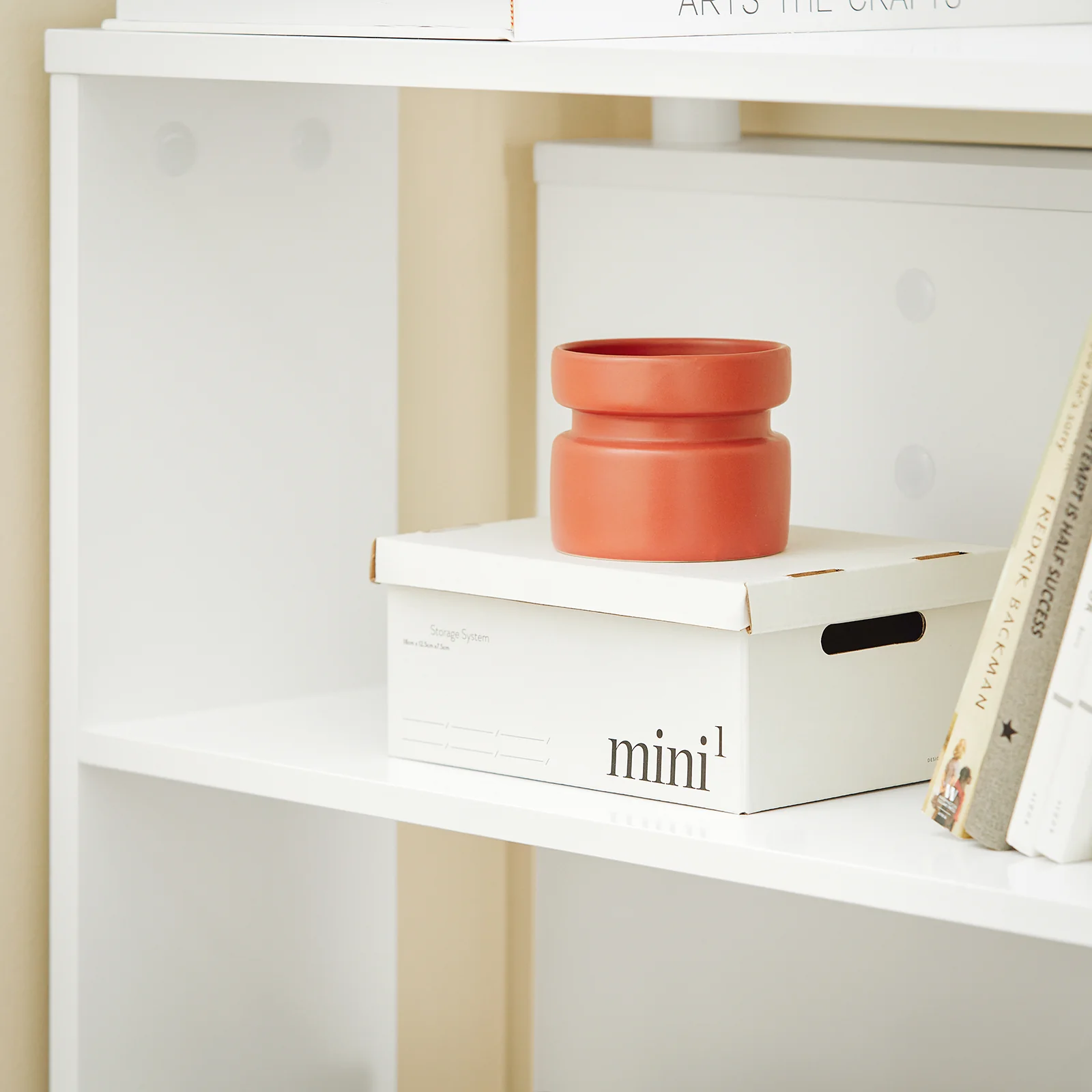 Miniatuur 6